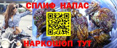 индика Краснодар