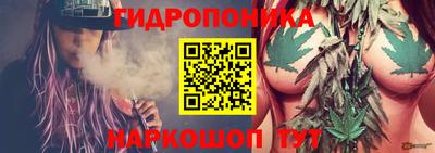 индика Краснодар