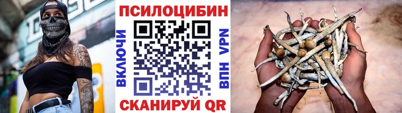 blacksprut рабочий сайт  Кировск  Галлюциногенные грибы Psilocybe  дарнет шоп 