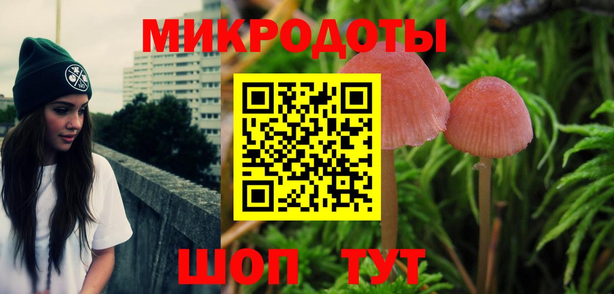 Кировск  Псилоцибиновые грибы мицелий  дарнет шоп  Вход с VPN 